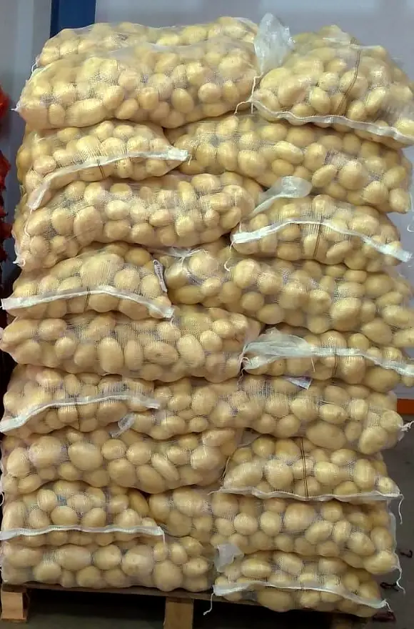 Sacos de batata em paletes