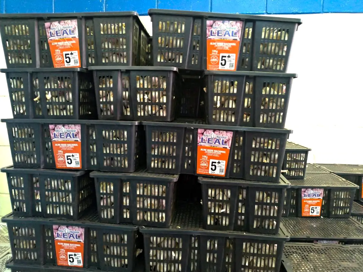 Caixas de alho roxo nacional empilhadas no estoque