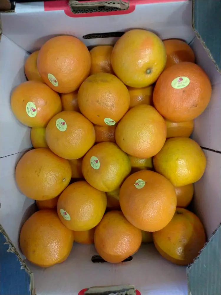 Caixa de laranjas