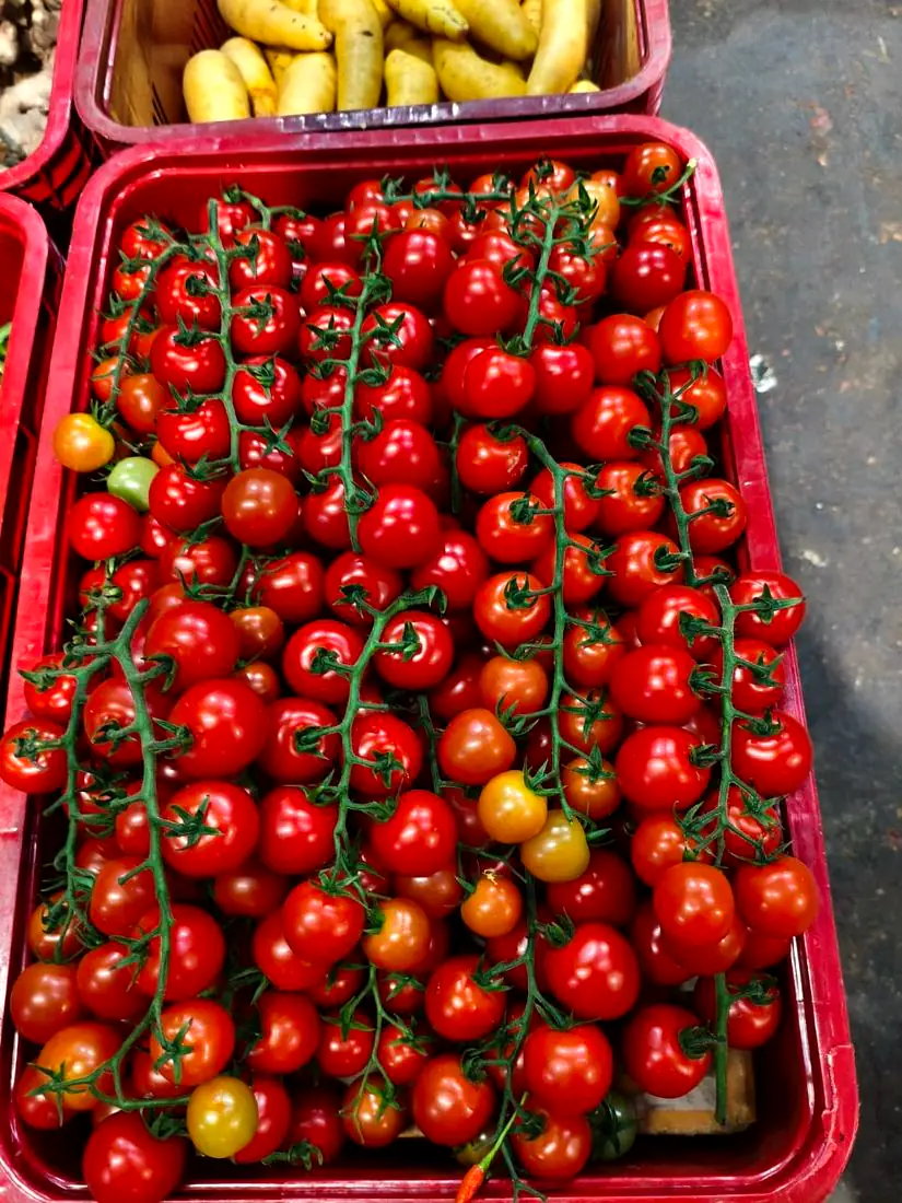 Caixa de tomates cereja no cacho